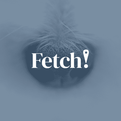 Avatar for Fetch Pet Care