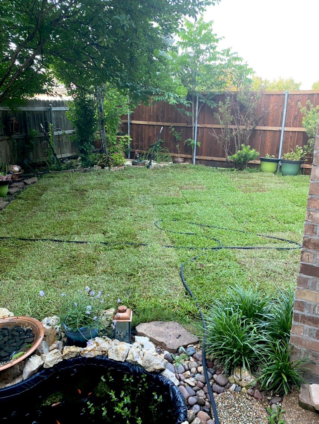 Customer photos
