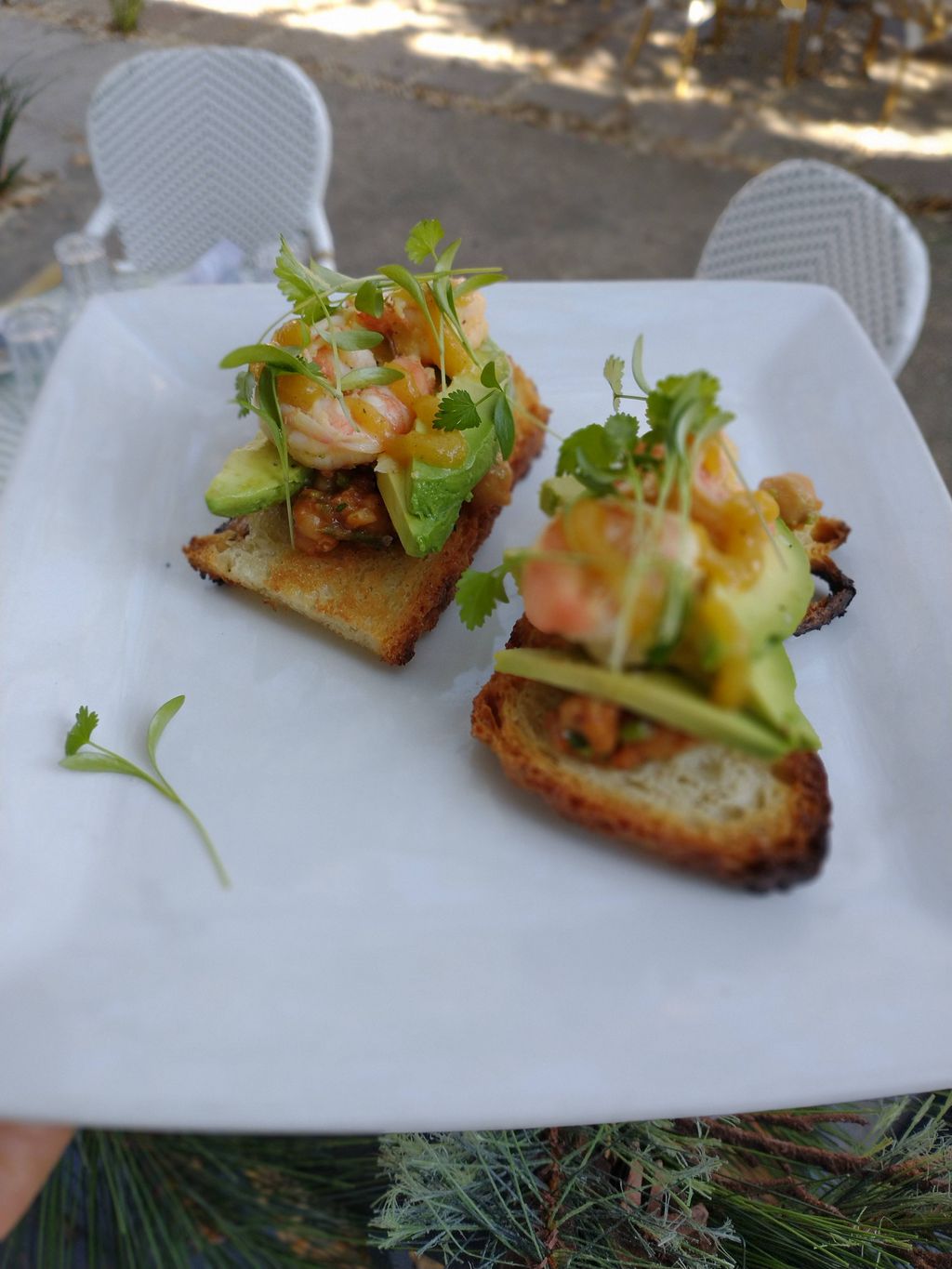 Focaccia avocado toast with ceviche
