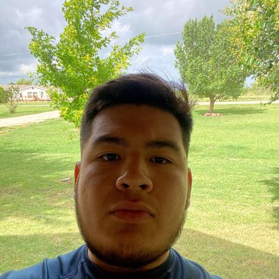 Avatar for Benitez Landscaping