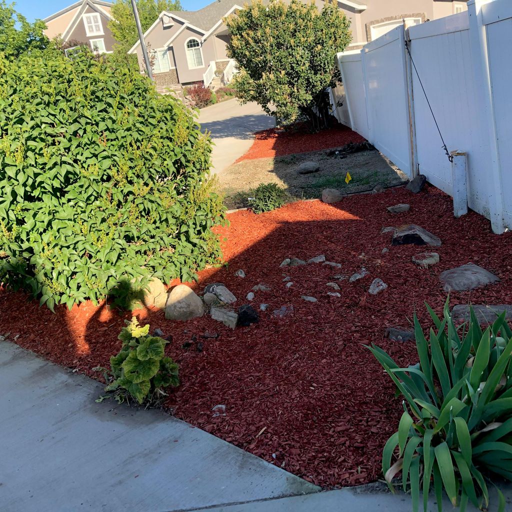 marios landscaping