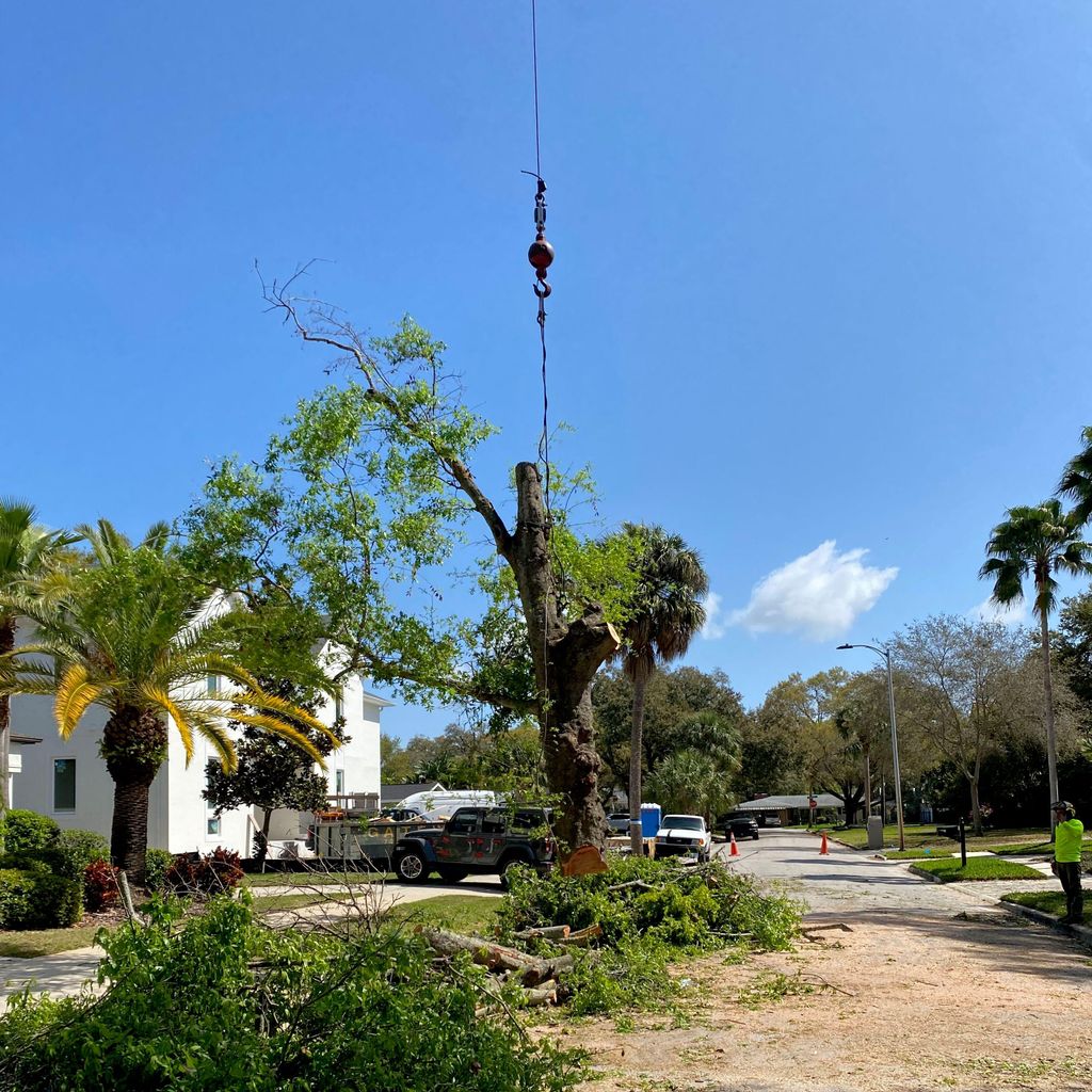 East Pasco Arbor Company