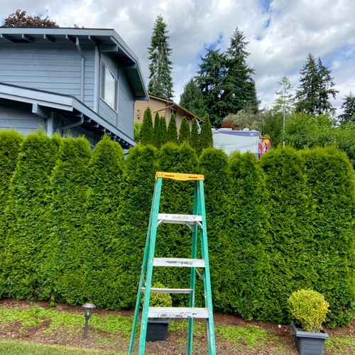 Exclusive Landscape & Construction Lynnwood, WA