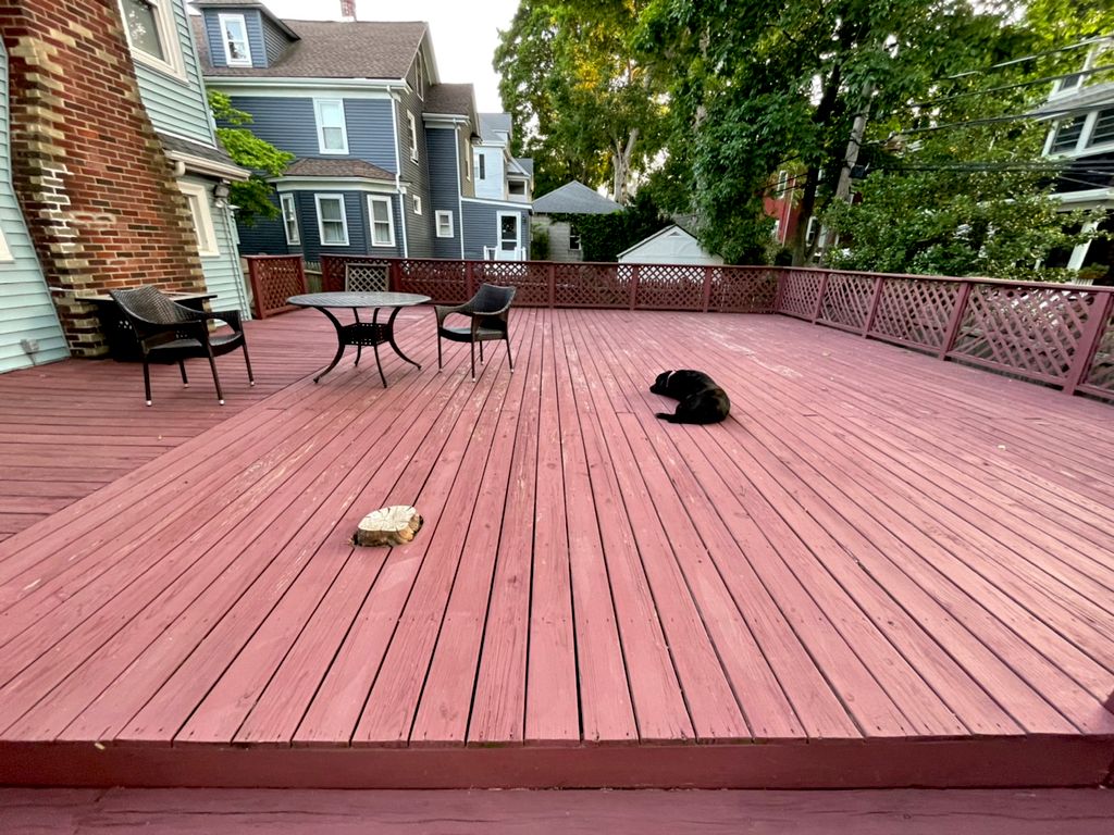 Customer photos