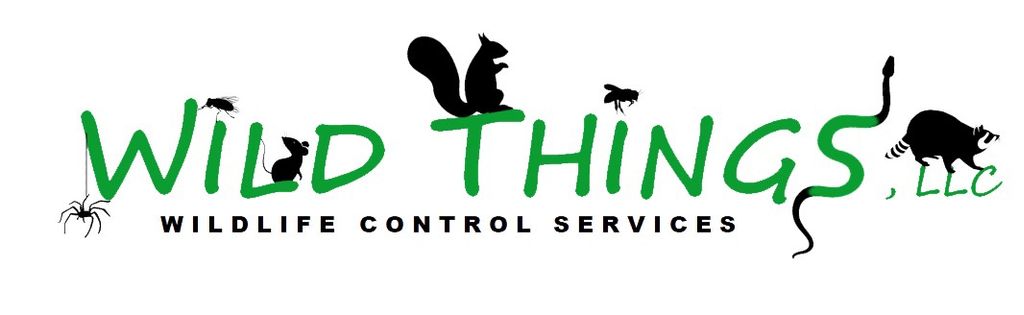 Wild Things LLC