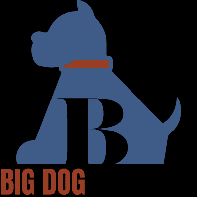 Avatar for Big Dog Academy