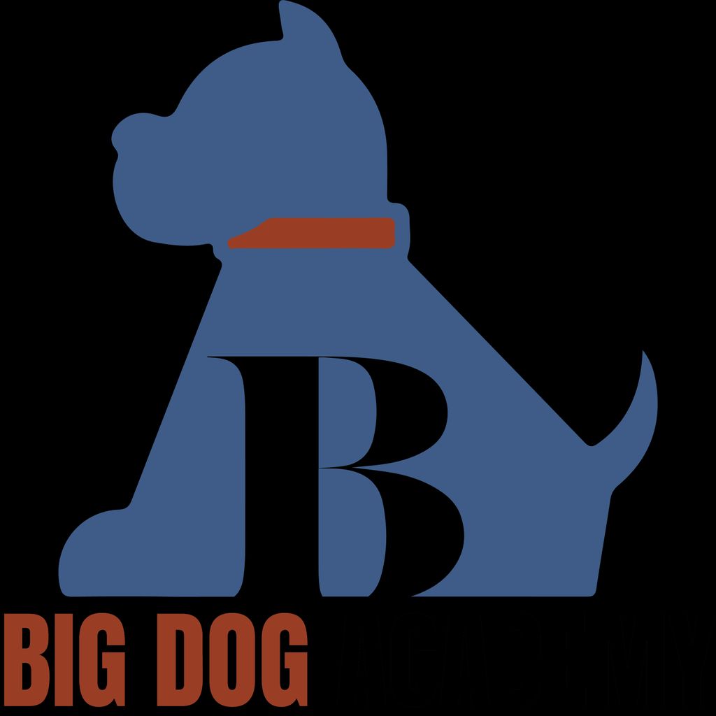 Big Dog Academy