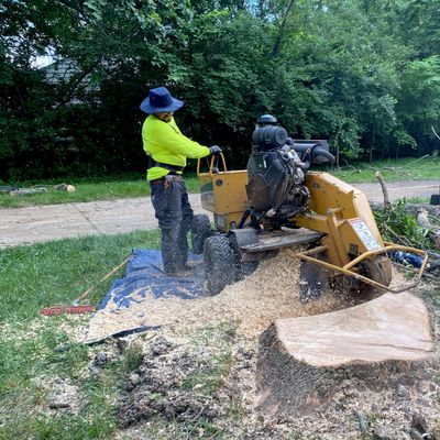 Avatar for Tree Stump Grinder Remove