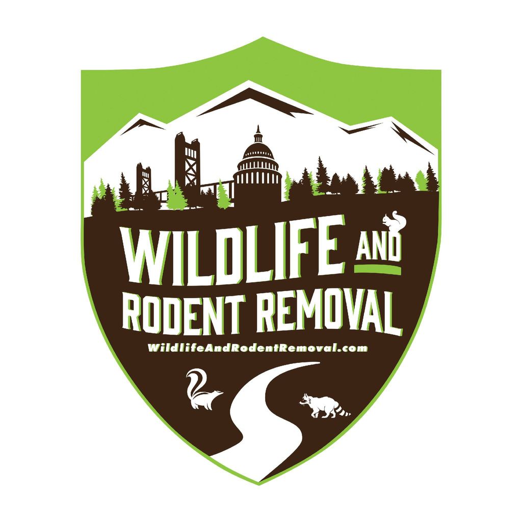 Wildlife and Rodent Removal