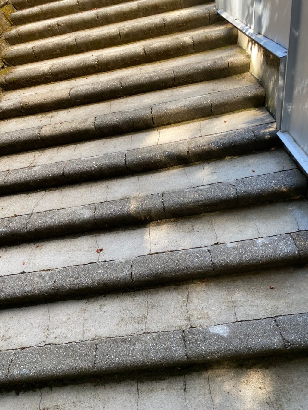Stairway was covered in moss