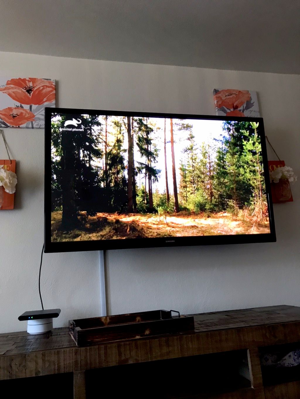 Customer photos