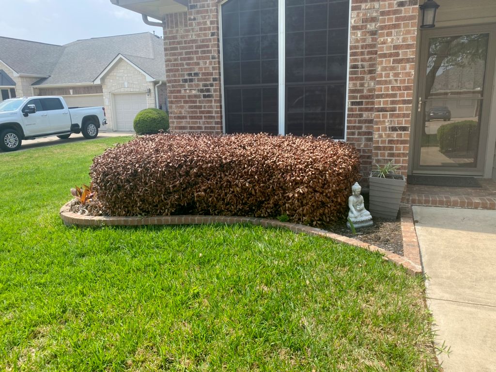 Customer photos