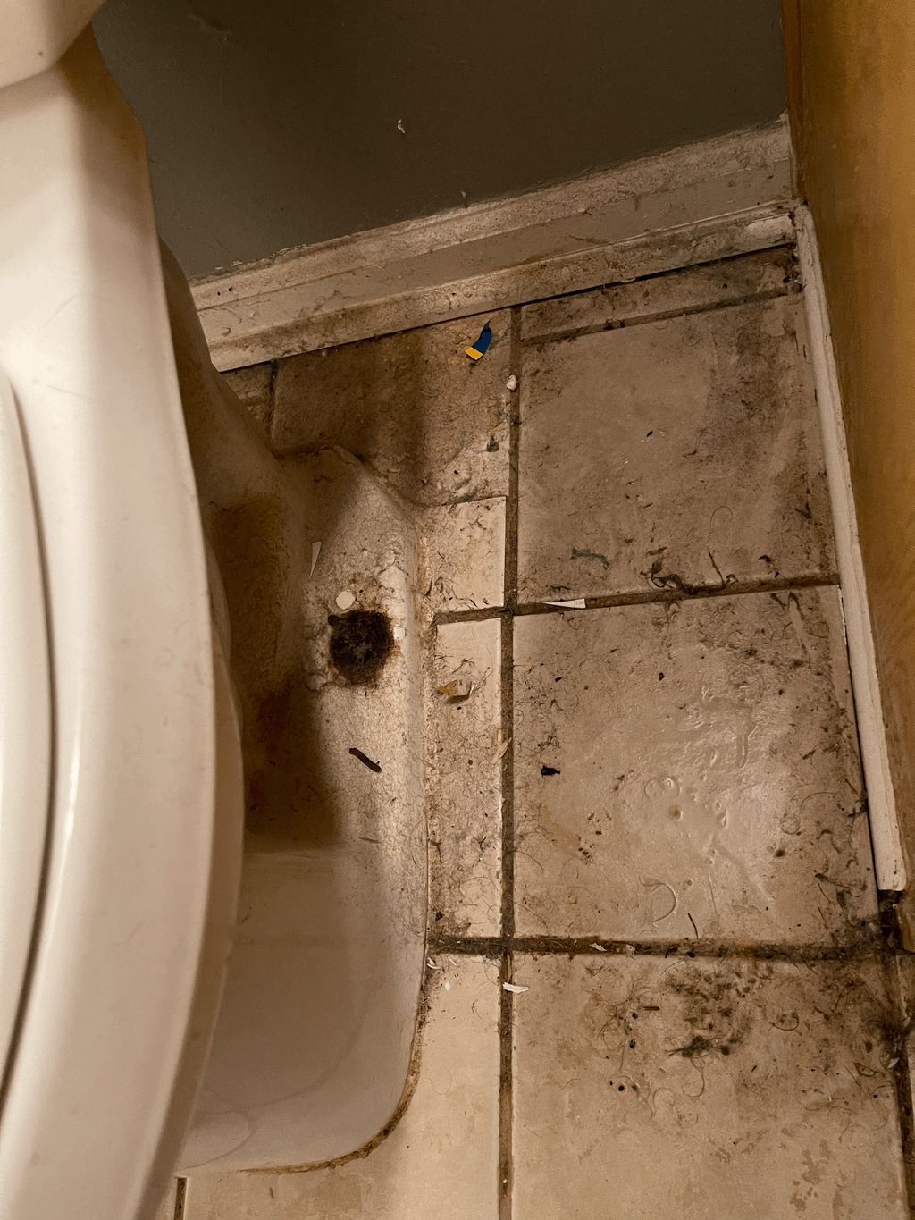 Bathroom deep clean (before)