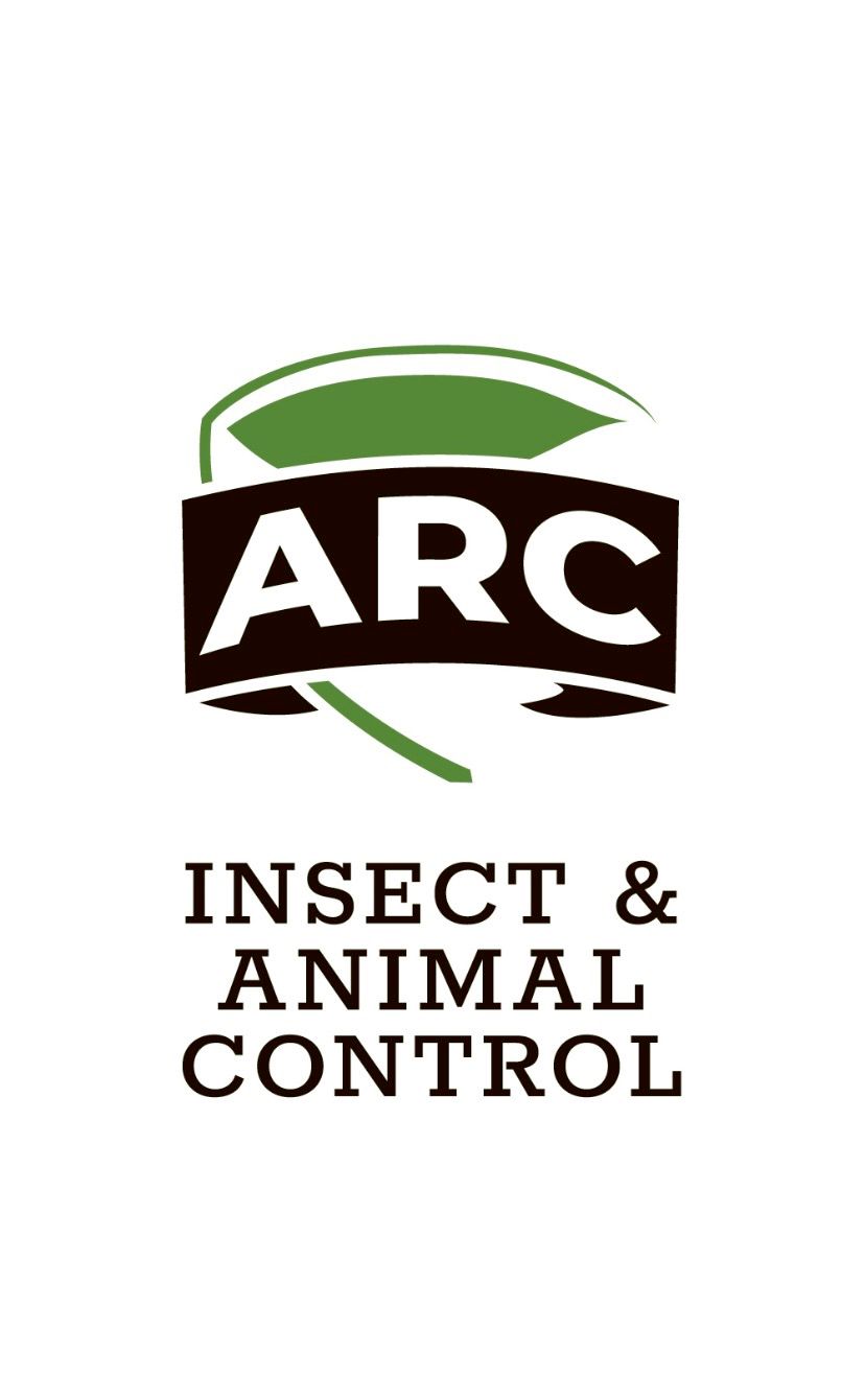 Animal Removal And Control