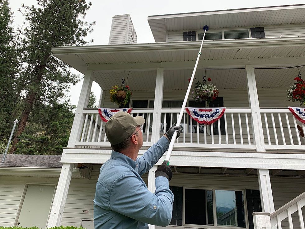 Wasp Nest & Spider Web Removal