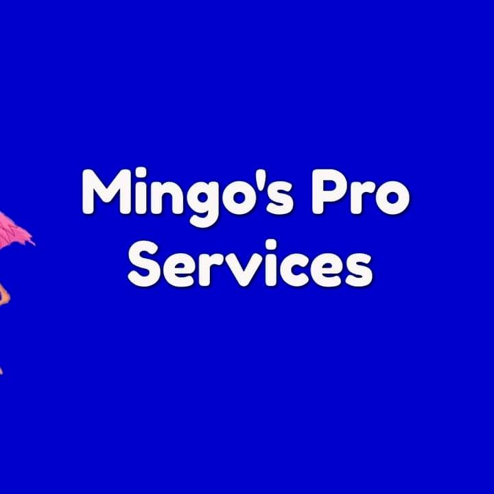 Mingos Pro Services