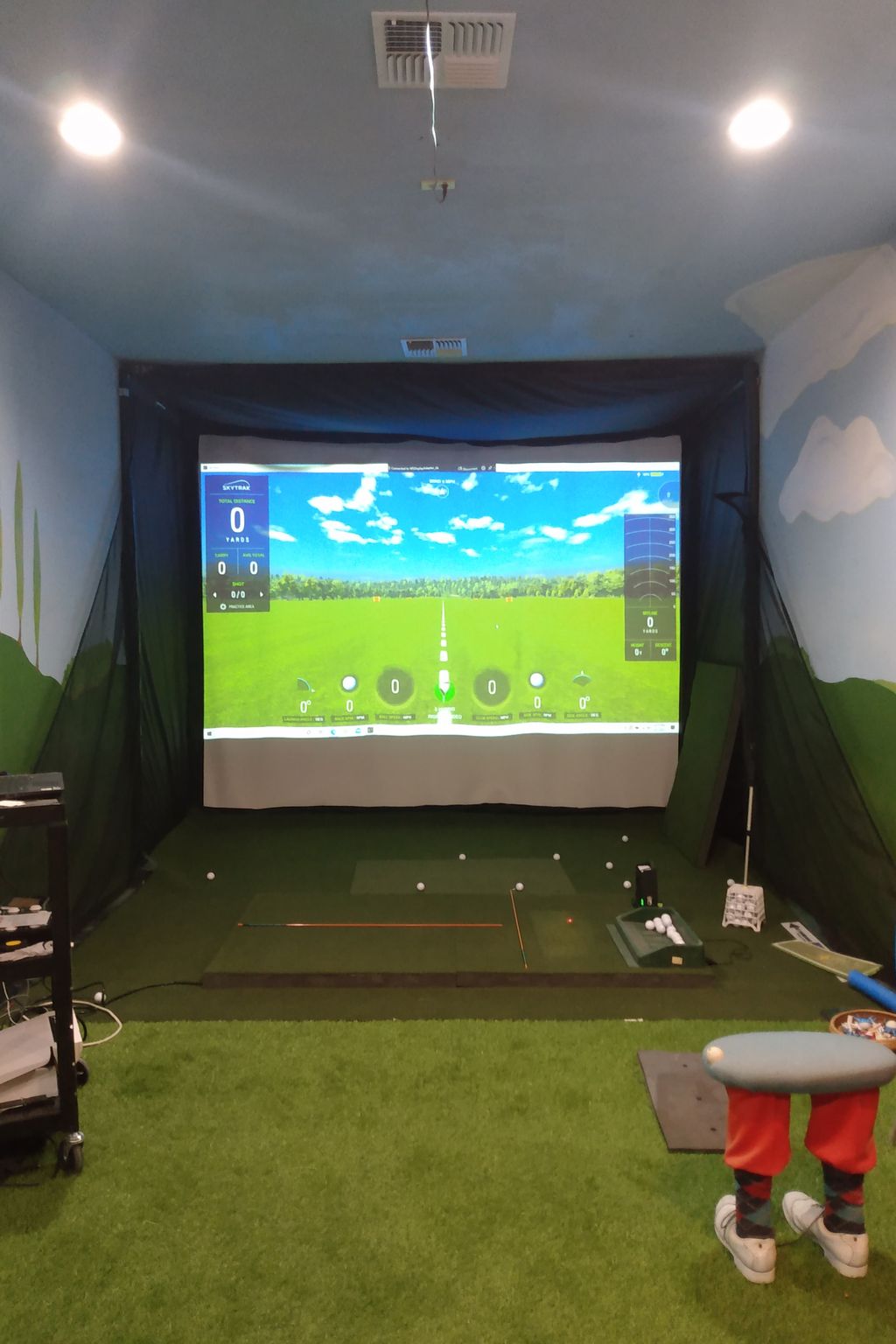 New SkyTrak Golf Simulator