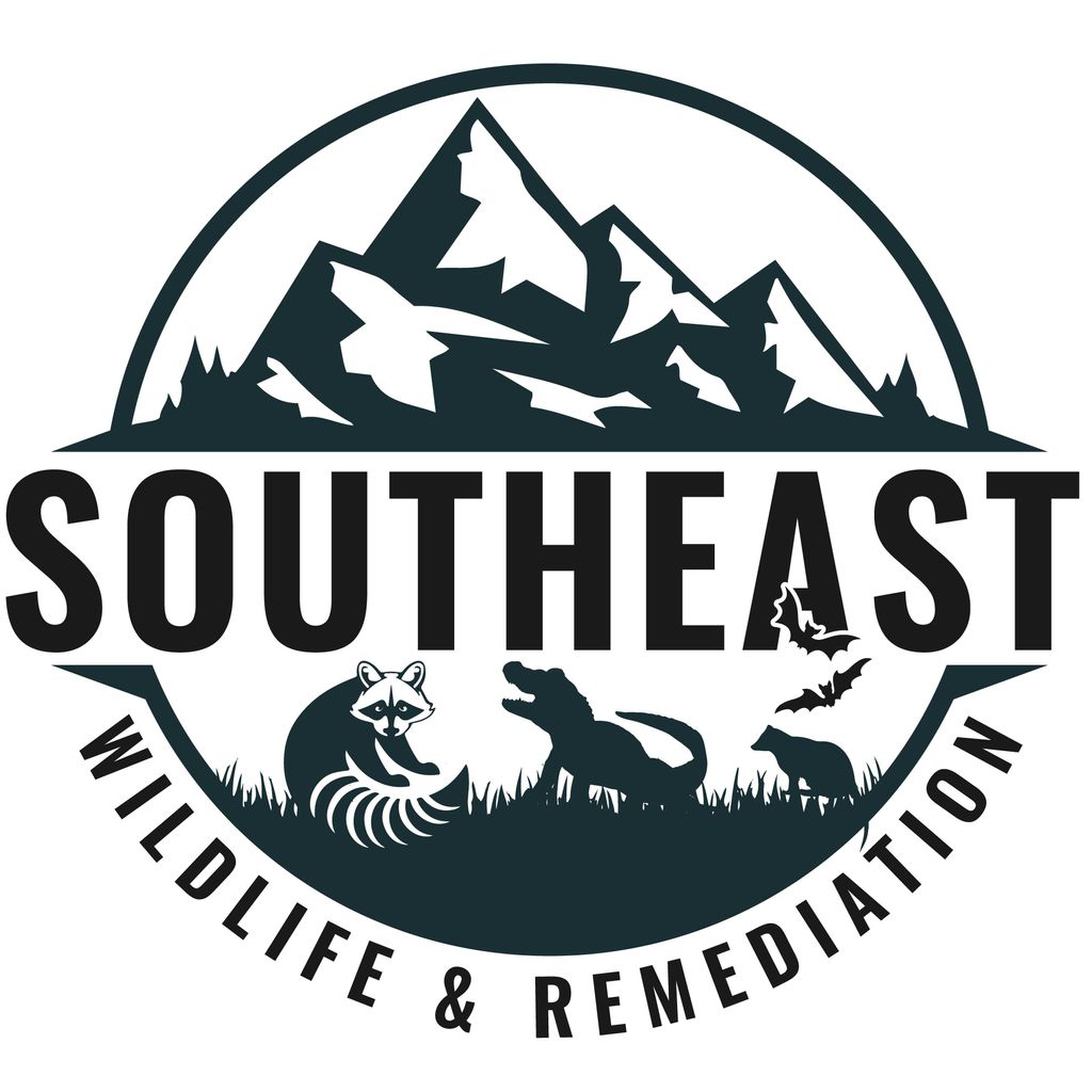 Southeast Wildlife & Remediation