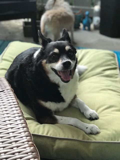 I love this sweet lady