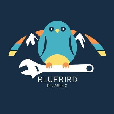 Avatar for Bluebird Plumbing & Drain Cleaning