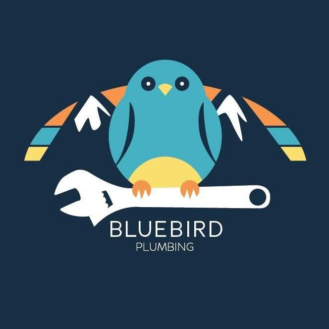 Bluebird Plumbing & Drain Cleaning