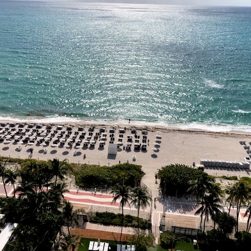 Private beach at Fountainebleau Miami Beach Resort