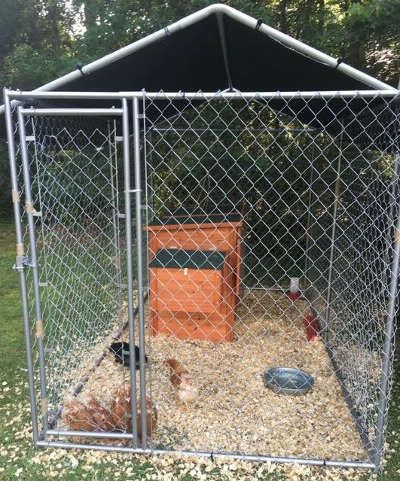 I needed the metal fence around my chicken coop to
