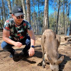 pro avatar