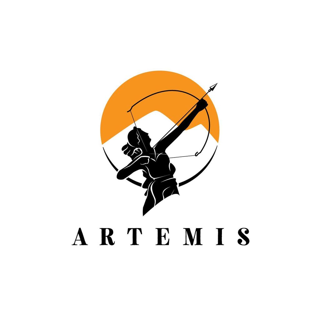 Artemis Security Agency