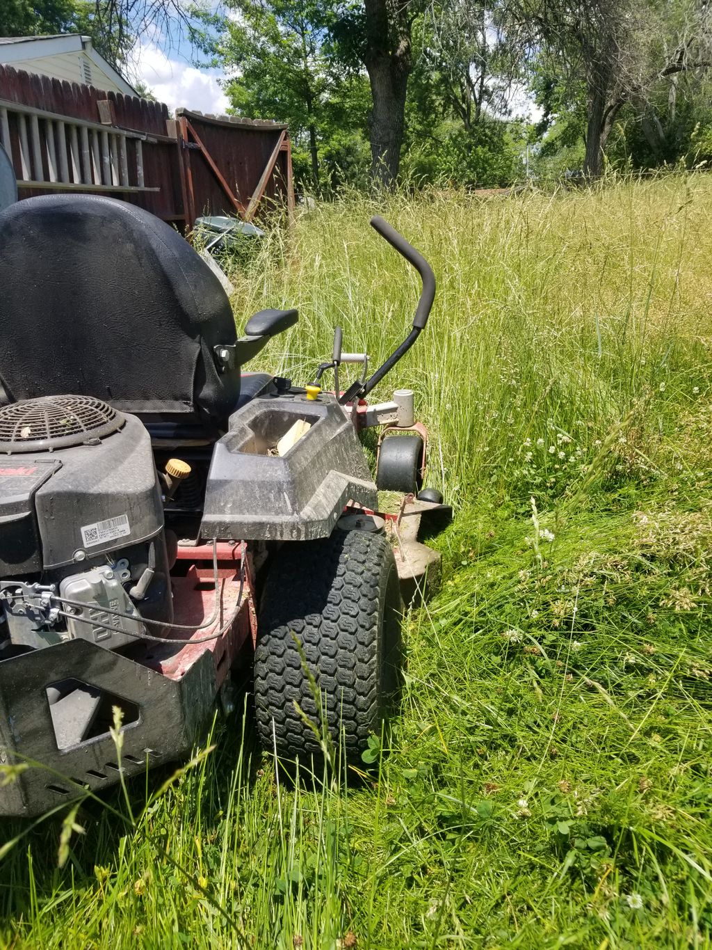 Full Service Lawn Care