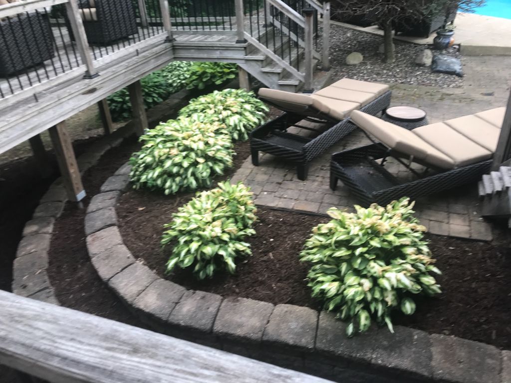 Customer photos