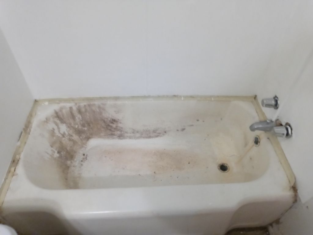 Shower and Bathtub Repair