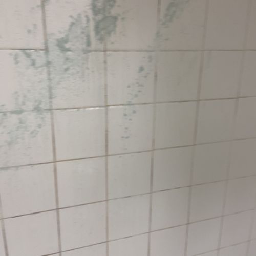 Before Shower Scrub