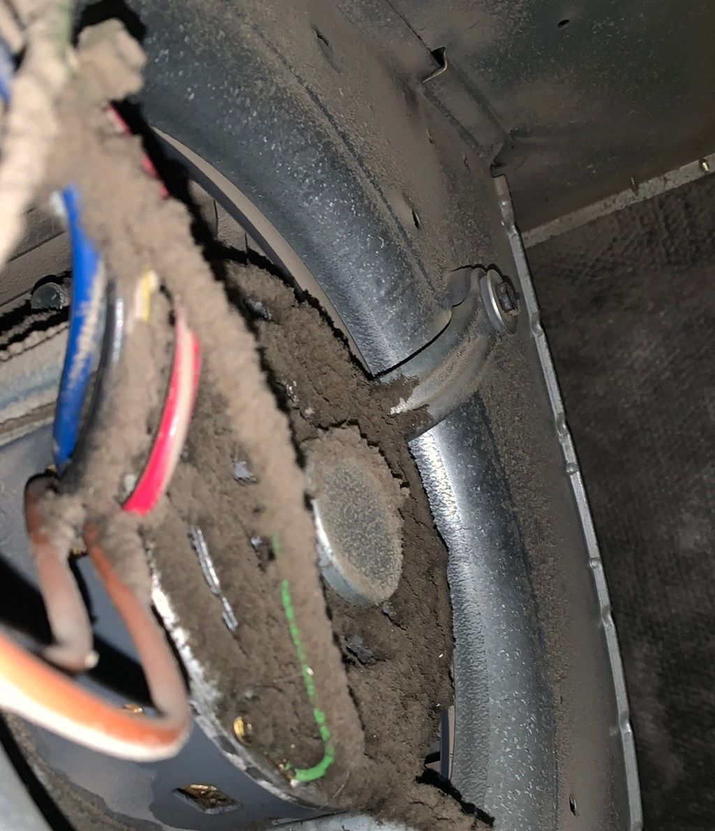 Dirty blower motor 