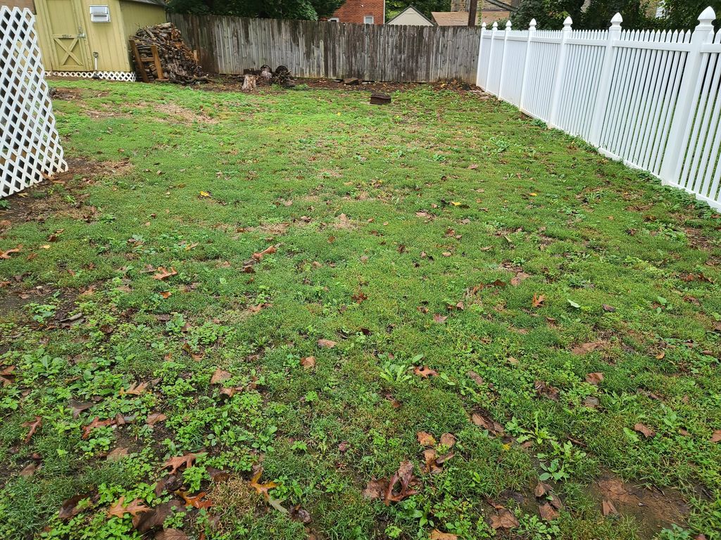 Before