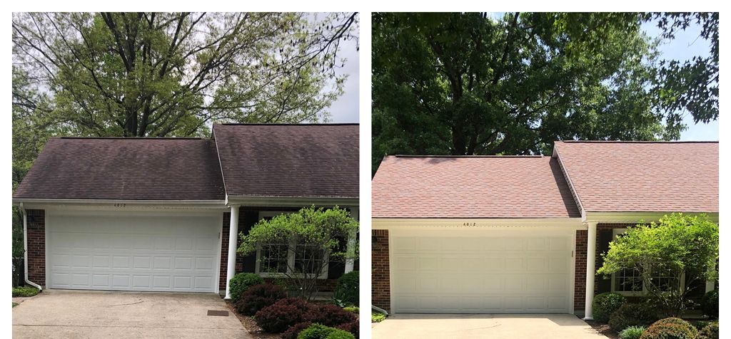 Roof Cleaning