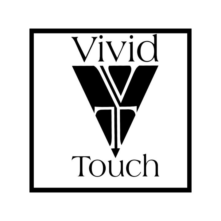 Vivid Touch Painting llc