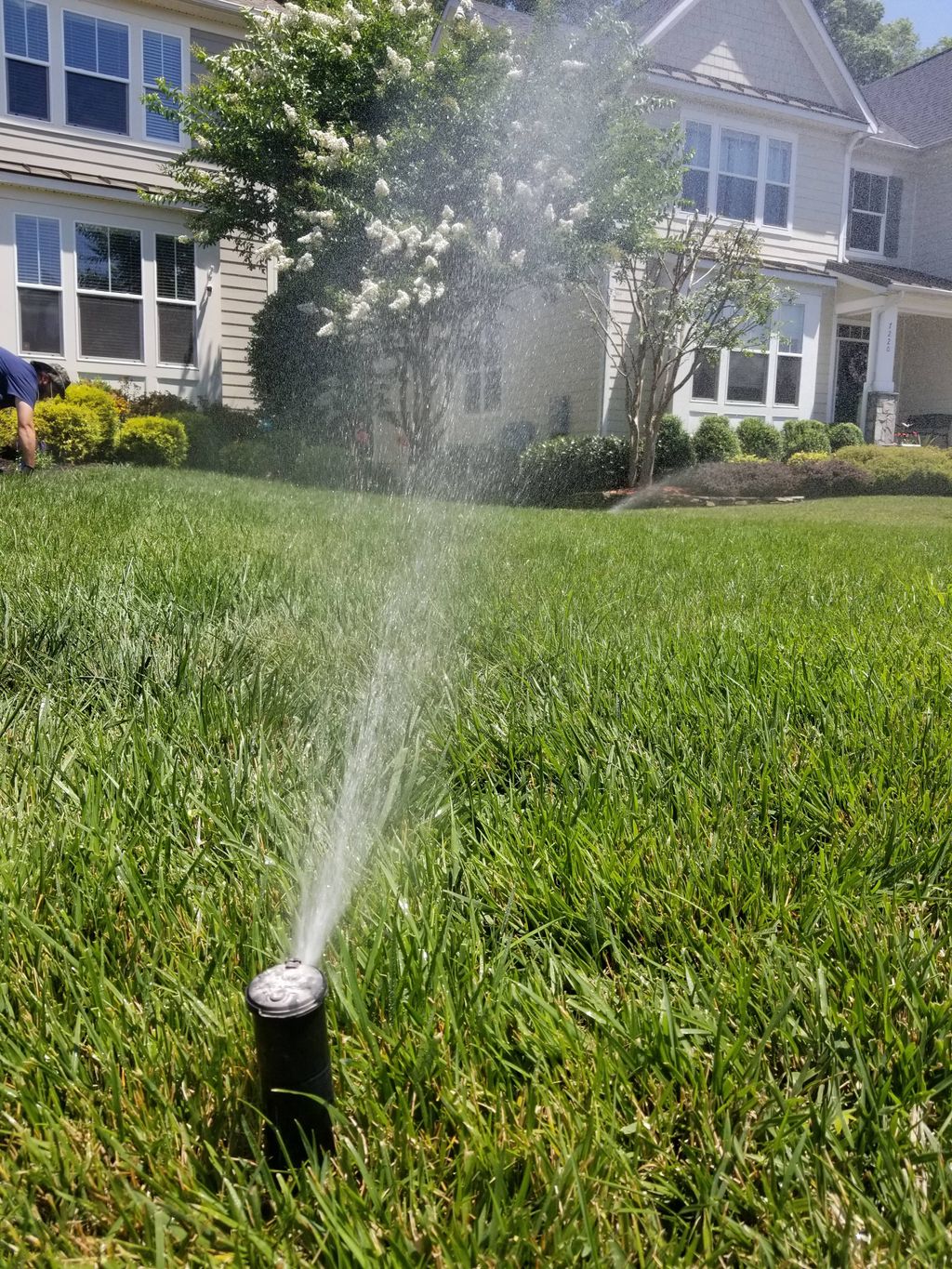 Customer photos