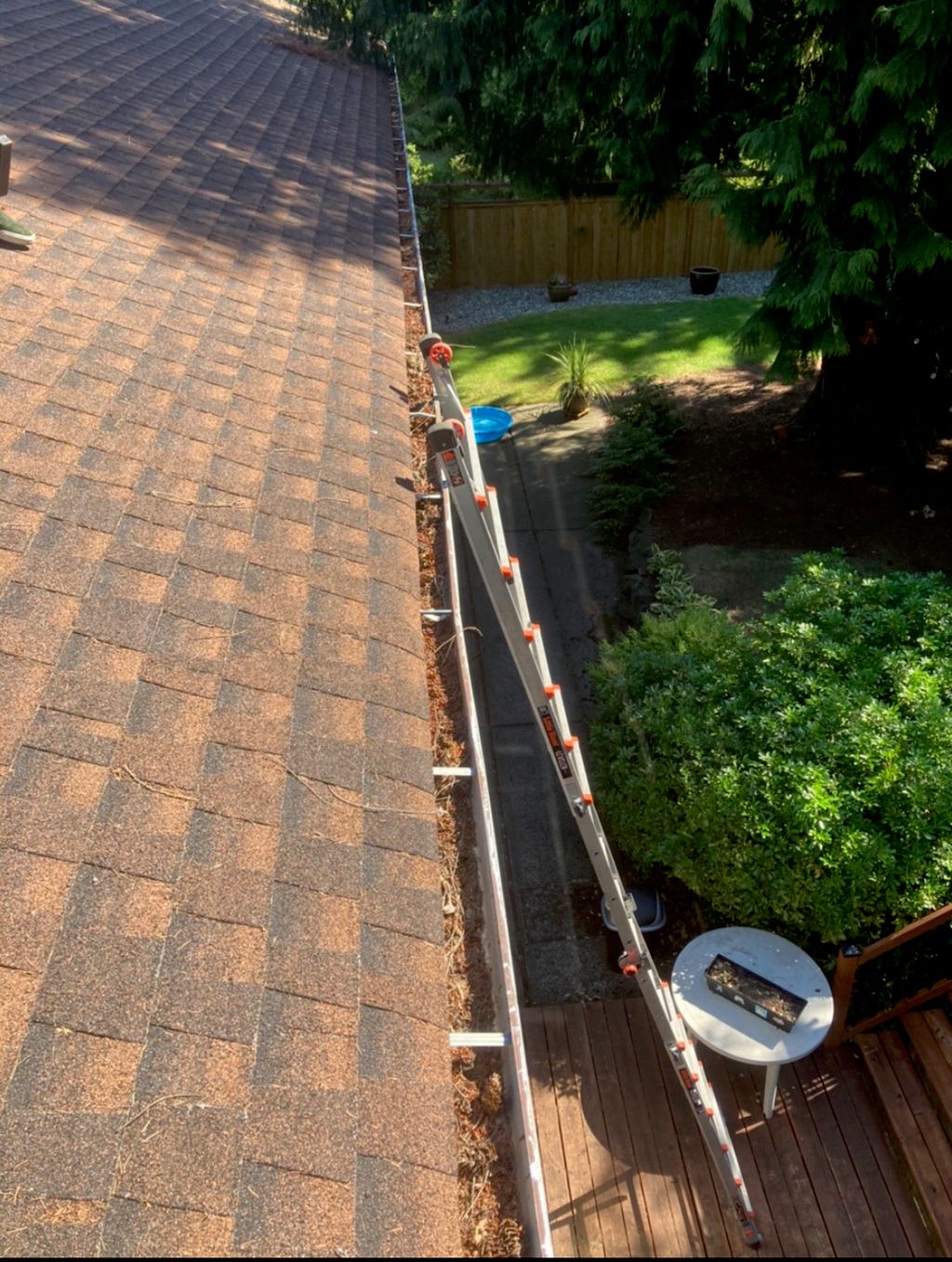 Customer photos