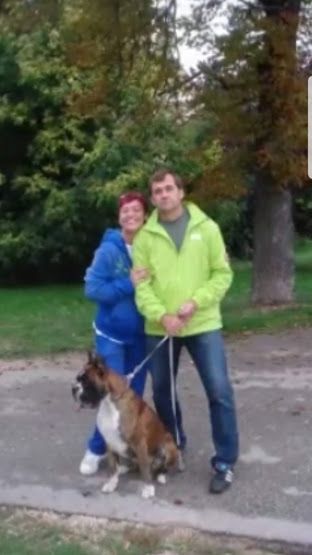 Old friendship Dog Training together work from Eur