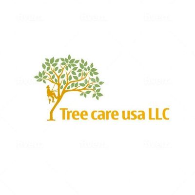 Tree Removal Services Miami, Broward, Palm Beach