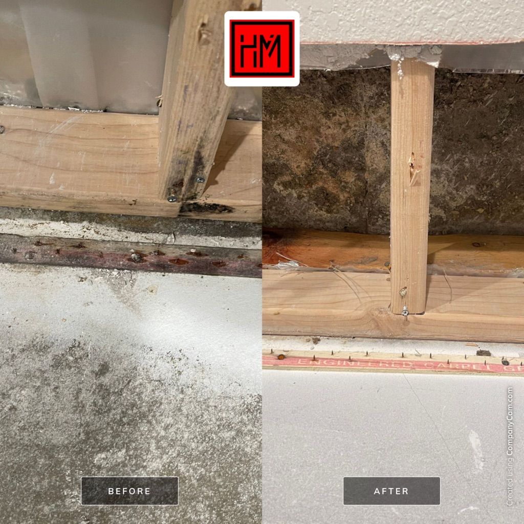 On the left, you see the black mold. On the right,