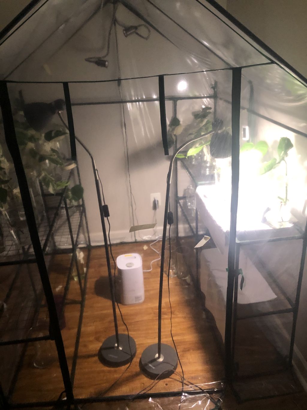 Projects and media