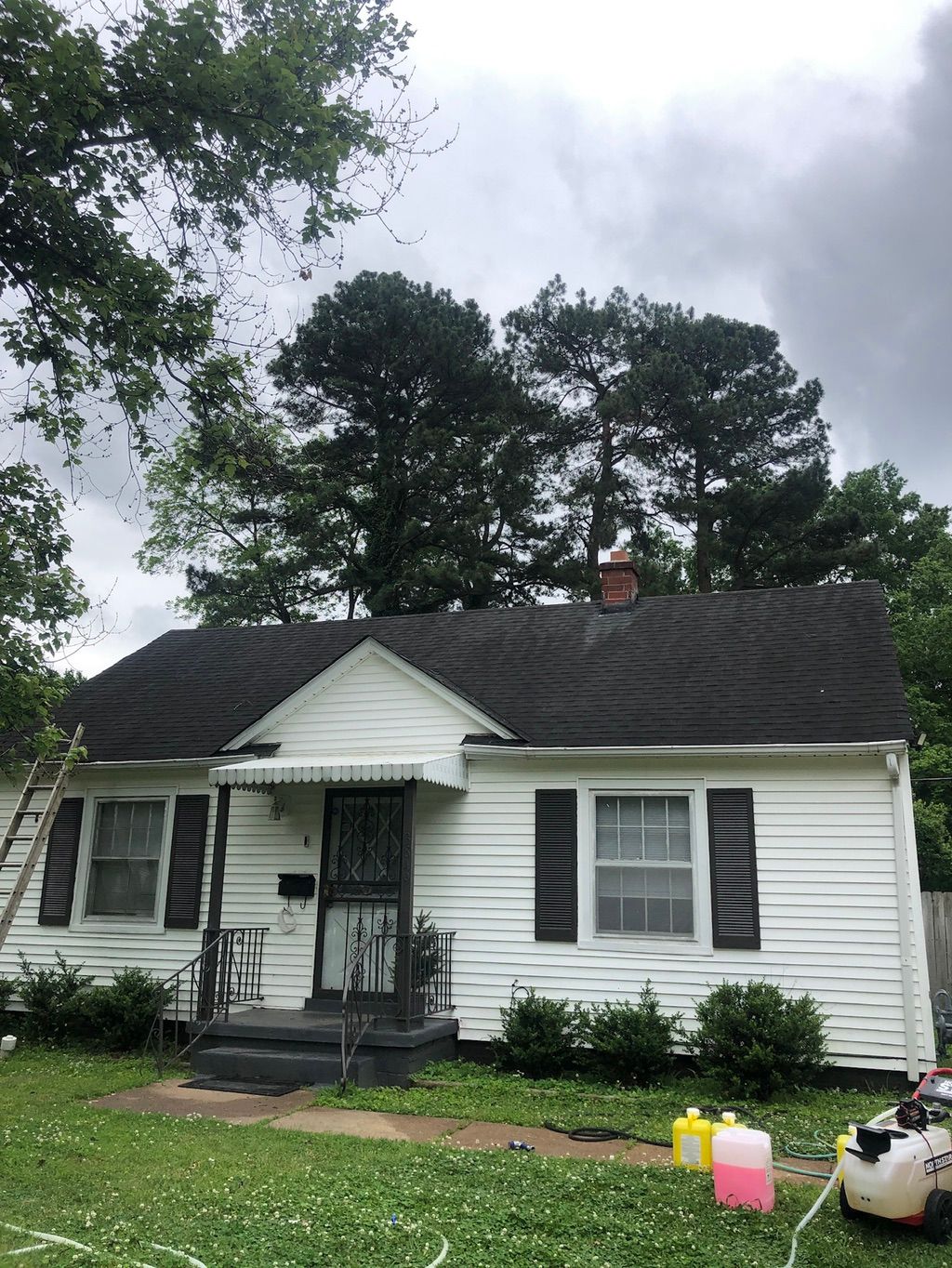 Before picture of a Roof Cleaning 