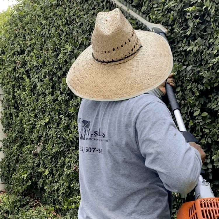 RM Landscaping