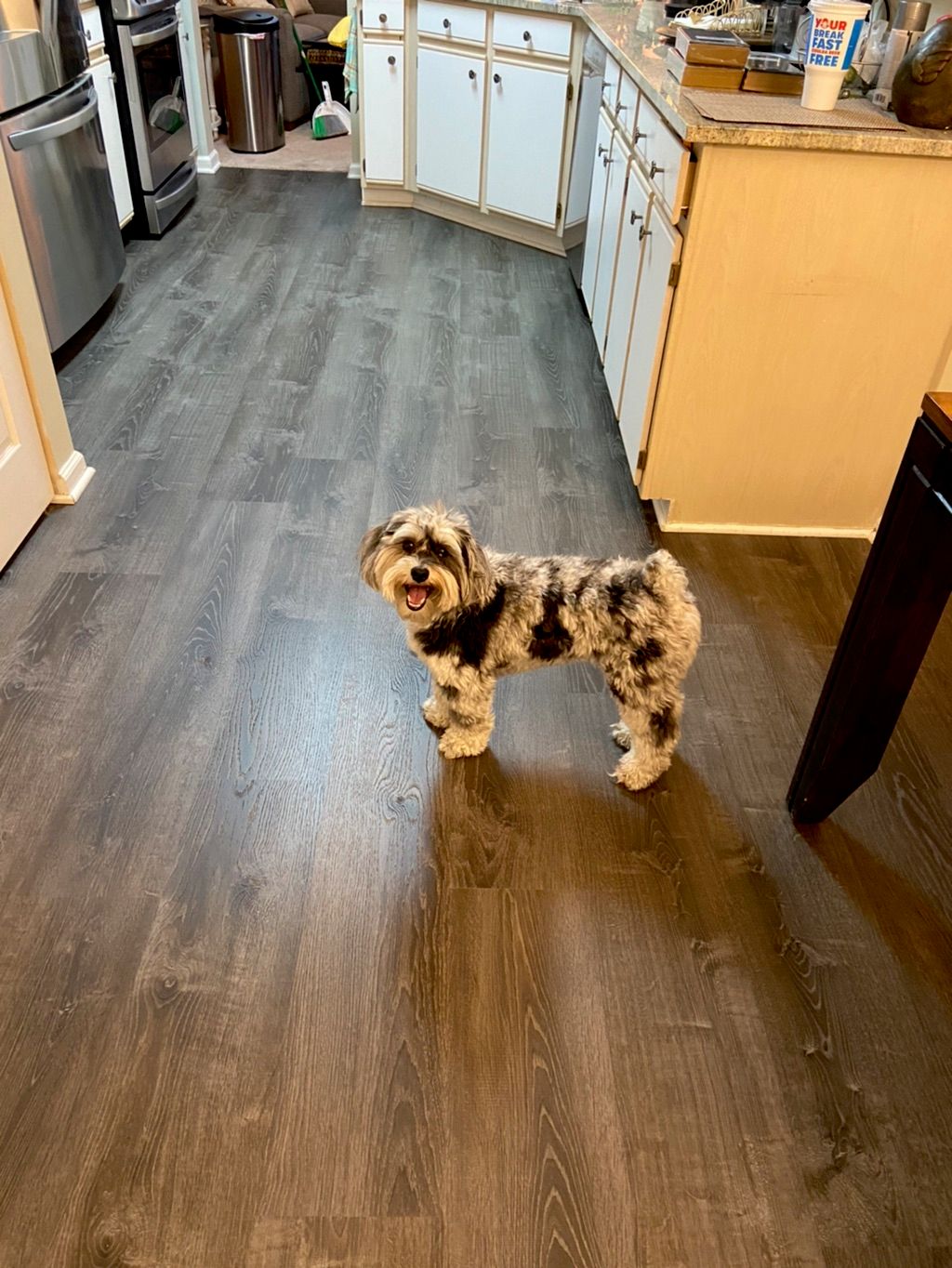 Customer photos