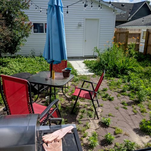 Absolutely transformed my backyard the same day I 
