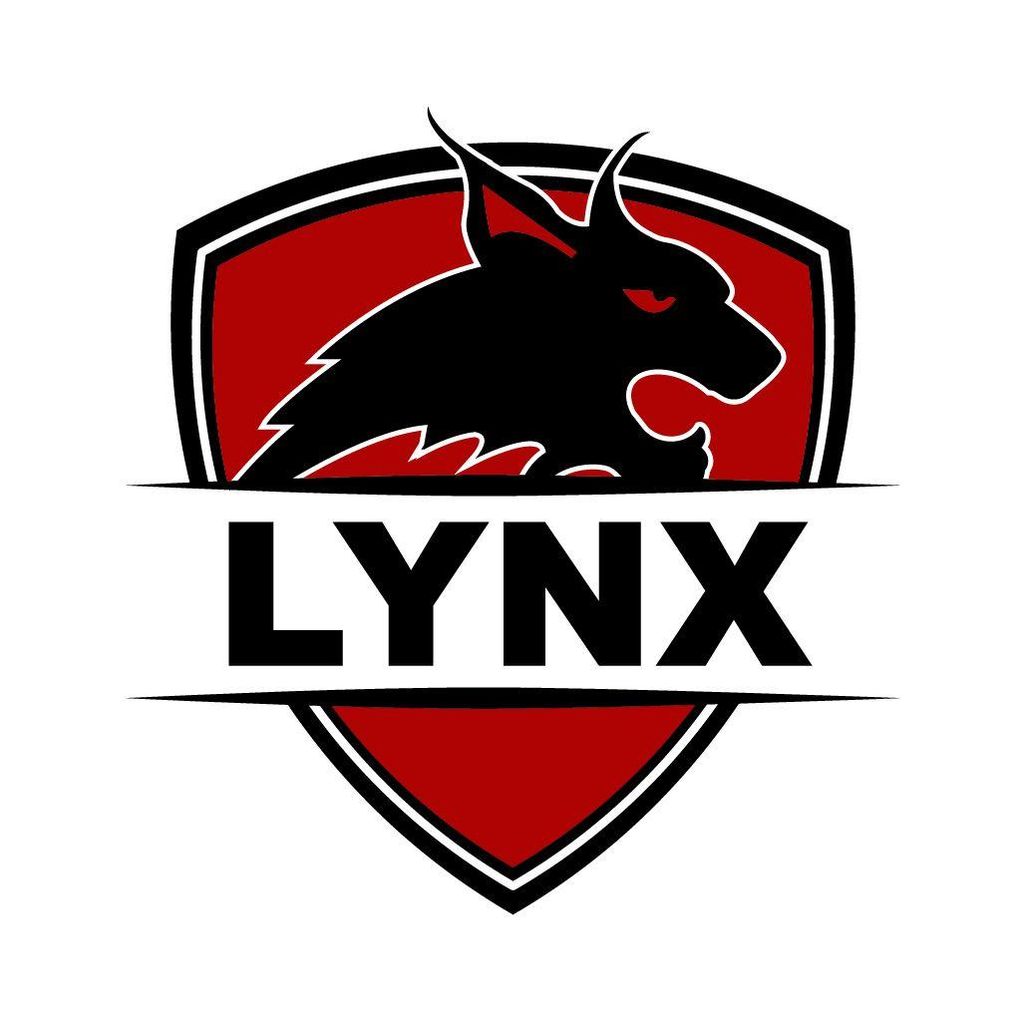 Lynx Security Group