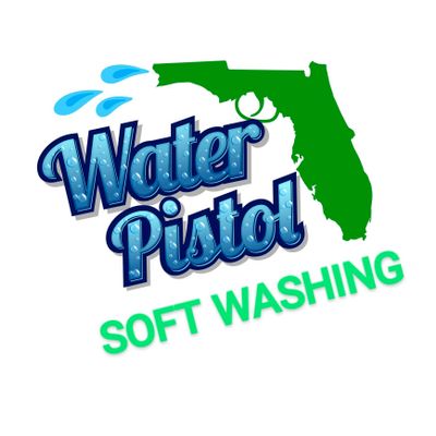 Avatar for WATER PISTOL PRESSURE WASHING & WINDOW CLEANING