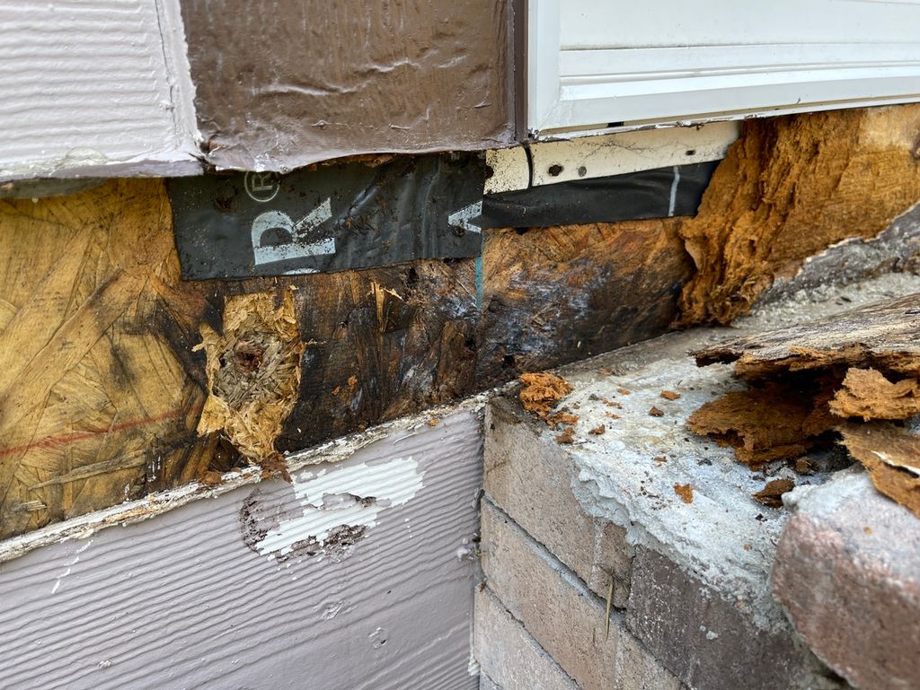 This is mold growth behind a 2x6 outside under the